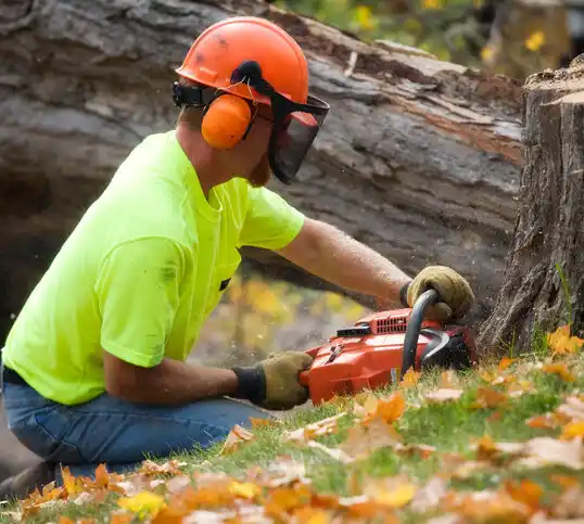 tree services Belle Terre